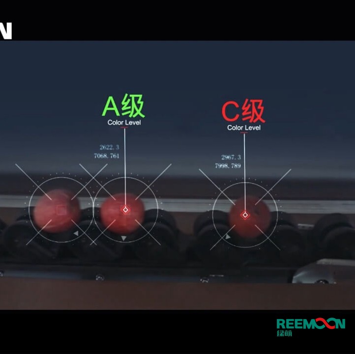 綠萌水果分選機(jī)多少錢(qián)？江西綠萌科技控股有限公司廠家直銷(xiāo)報(bào)價(jià)