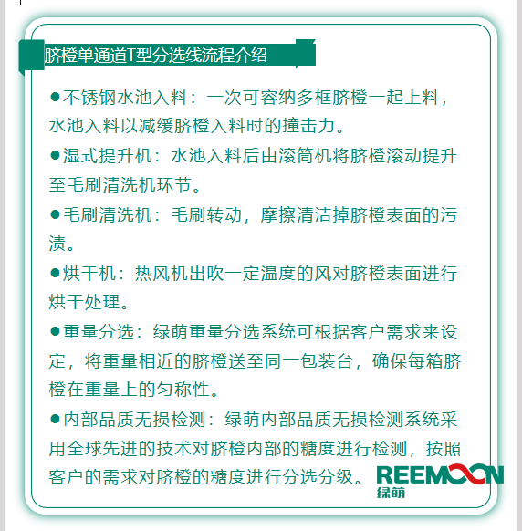 今年綠萌推出T型系列設(shè)備，專為中國(guó)果農(nóng)研制的高性價(jià)比的設(shè)備，具有功能齊全、小型輕便可移動(dòng)、操作簡(jiǎn)單、易維護(hù)的優(yōu)點(diǎn)。臍橙單通道分選線確保每箱分選過(guò)的臍橙個(gè)頭勻稱、糖酸度相近，有著穩(wěn)定的品質(zhì)，讓非標(biāo)準(zhǔn)的農(nóng)產(chǎn)品標(biāo)準(zhǔn)化。該分選線專門(mén)為中國(guó)小戶果農(nóng)定制，為客戶實(shí)地考察，根據(jù)客戶需求全流程設(shè)計(jì)，