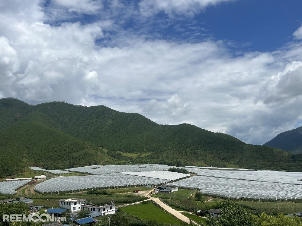 麗江市蘋果種植主產(chǎn)區(qū)海拔2400-2700米，良好的立體環(huán)境條件造就了麗江蘋果糖度高、果肉緊密、硬度高、無污染的品質(zhì)特點。2019年，在全國種植產(chǎn)區(qū)的甄選中，鑫榮懋選定了云南省麗江市蘋果優(yōu)勢產(chǎn)區(qū)作為未來蘋果種植項目的實施地，目前已種植新西蘭引進的優(yōu)良蘋果品種。鑫榮懋以新品種、新技術及高品質(zhì)為發(fā)展蘋果種植的新契機，