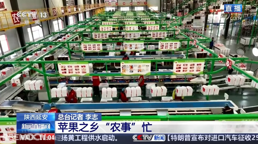 春天是希望的季節(jié)陜西延安是我國(guó)蘋(píng)果的優(yōu)生區(qū)和主產(chǎn)區(qū)蘋(píng)果之鄉(xiāng)正呈現(xiàn)出一片繁忙的景象3月28日，CCTV13新聞?lì)l道聚焦陜西延安蘋(píng)果產(chǎn)業(yè)發(fā)展展現(xiàn)中國(guó)農(nóng)業(yè)現(xiàn)代化與鄉(xiāng)村振興的生動(dòng)實(shí)踐PART.01智能分選線：給蘋(píng)果做“體檢”，助力果農(nóng)增收致富延安甘泉縣分揀車間內(nèi)綠萌智能分選設(shè)備高效運(yùn)轉(zhuǎn)通過(guò)人工智能和圖像處理技術(shù)對(duì)傳送帶上的